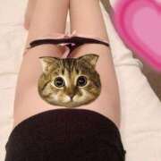 ヒメ日記 2024/12/29 05:48 投稿 とよこ 熟女家 堺東店