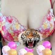 ヒメ日記 2025/01/11 07:38 投稿 とよこ 熟女家 堺東店