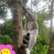 ヒメ日記 2025/03/09 08:18 投稿 とよこ 熟女家 堺東店