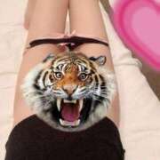 ヒメ日記 2025/04/09 08:33 投稿 とよこ 熟女家 堺東店