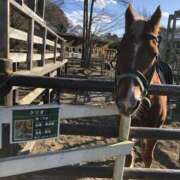 ヒメ日記 2025/02/09 19:52 投稿 なぎさ 千葉中央人妻援護会