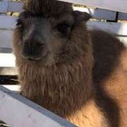 ヒメ日記 2025/03/11 07:12 投稿 なぎさ 千葉中央人妻援護会