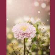 ヒメ日記 2025/03/15 21:46 投稿 なぎさ 千葉中央人妻援護会