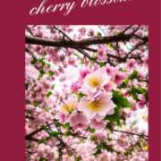 ヒメ日記 2025/03/21 01:03 投稿 なぎさ 千葉中央人妻援護会