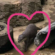 ヒメ日記 2025/05/27 14:54 投稿 なぎさ 千葉中央人妻援護会