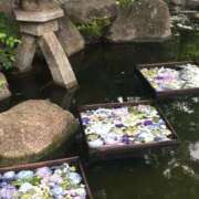 ヒメ日記 2025/06/02 19:00 投稿 なぎさ 千葉中央人妻援護会