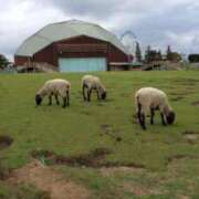 ヒメ日記 2025/06/14 00:31 投稿 なぎさ 千葉中央人妻援護会