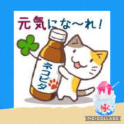 ヒメ日記 2025/07/15 10:59 投稿 なぎさ 千葉中央人妻援護会