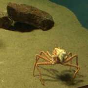 ヒメ日記 2025/09/16 17:19 投稿 なぎさ 千葉中央人妻援護会