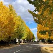 ヒメ日記 2025/09/26 17:29 投稿 なぎさ 千葉中央人妻援護会