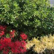 ヒメ日記 2025/09/28 07:19 投稿 なぎさ 千葉中央人妻援護会