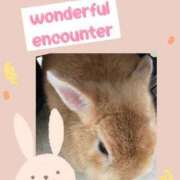 ヒメ日記 2025/09/30 13:59 投稿 なぎさ 千葉中央人妻援護会