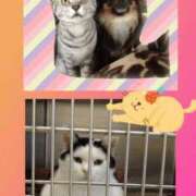 ヒメ日記 2025/11/05 13:49 投稿 なぎさ 千葉中央人妻援護会