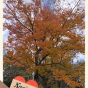 なぎさ しばらくお休みします 千葉中央人妻援護会