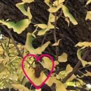 なぎさ 夏と秋の融合？？ 千葉中央人妻援護会