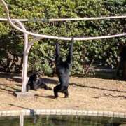 ヒメ日記 2026/01/26 08:19 投稿 なぎさ 千葉中央人妻援護会