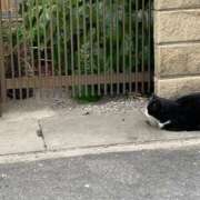 ヒメ日記 2026/01/30 10:29 投稿 なぎさ 千葉中央人妻援護会