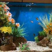 ヒメ日記 2026/02/12 12:19 投稿 なぎさ 千葉中央人妻援護会