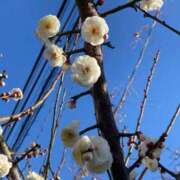 ヒメ日記 2026/02/22 08:39 投稿 なぎさ 千葉中央人妻援護会