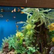 ヒメ日記 2026/03/03 15:43 投稿 なぎさ 千葉中央人妻援護会