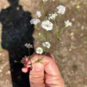 ヒメ日記 2026/03/09 10:09 投稿 なぎさ 千葉中央人妻援護会