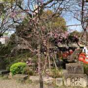 ヒメ日記 2026/03/30 11:09 投稿 なぎさ 千葉中央人妻援護会