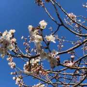 ヒメ日記 2026/03/31 15:19 投稿 なぎさ 千葉中央人妻援護会