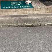 ヒメ日記 2026/06/04 16:01 投稿 なぎさ 千葉中央人妻援護会