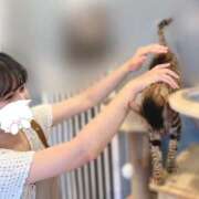 ヒメ日記 2025/02/22 16:25 投稿 あやめ Number Five 品川（シンデレラグループ）