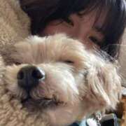 ヒメ日記 2025/03/07 18:56 投稿 あやめ Number Five 品川（シンデレラグループ）