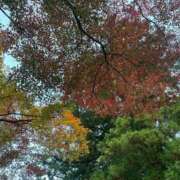 ヒメ日記 2025/11/09 01:47 投稿 あやめ Number Five 品川（シンデレラグループ）