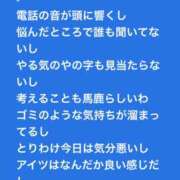 ヒメ日記 2024/11/12 22:48 投稿 かなの ベイビーモコ