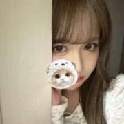 ヒメ日記 2025/05/03 16:08 投稿 るか でりどす