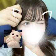 ヒメ日記 2025/07/17 23:24 投稿 るか でりどす