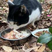 ヒメ日記 2025/01/02 00:24 投稿 ゆん まじらぶ！