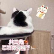 ヒメ日記 2025/01/08 14:57 投稿 ゆん まじらぶ！