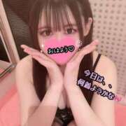 ヒメ日記 2025/04/05 07:00 投稿 ゆん まじらぶ！