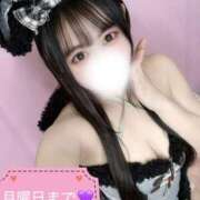 ヒメ日記 2026/01/31 00:15 投稿 ゆん まじらぶ！