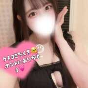 ヒメ日記 2026/02/18 13:45 投稿 ゆん まじらぶ！