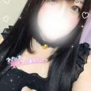 ヒメ日記 2025/04/22 14:28 投稿 せれん 白いぽっちゃりさん仙台店