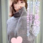 ヒメ日記 2024/12/29 10:00 投稿 いろは かりんと池袋東口店