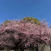 潮田 出勤しました 熟女の風俗最終章　鶯谷店