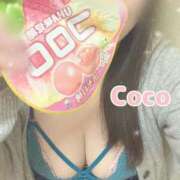 ヒメ日記 2025/04/10 20:04 投稿 ここ でりどす