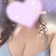 ヒメ日記 2025/11/19 22:51 投稿 ここ でりどす