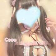 ヒメ日記 2026/04/22 21:53 投稿 ここ でりどす