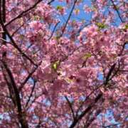 ヒメ日記 2026/03/03 09:45 投稿 あゆら 甲府人妻隊