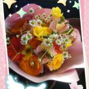 ヒメ日記 2025/02/26 17:06 投稿 ひびき モアグループ 土浦人妻花壇