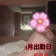 ヒメ日記 2025/04/29 00:37 投稿 るり 完熟ばなな新宿