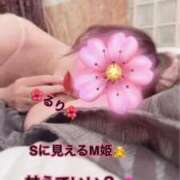 ヒメ日記 2025/06/02 18:55 投稿 るり 完熟ばなな新宿