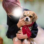 ARUKA いぬ𐔌՞･·･՞𐦯 GINGIRA☆TOKYO～ギンギラ東京～